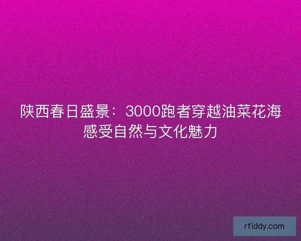 陕西春日盛景：3000跑者穿越油菜花海感受自然与文化魅力